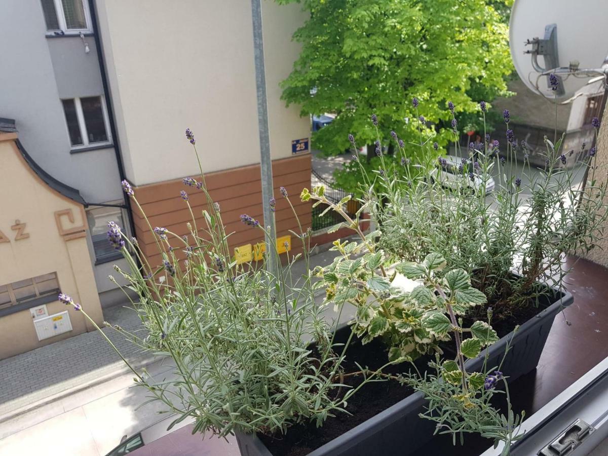 Przytulna I Przestrzenna Garsoniera- Centrum Tarnow Extérieur photo
